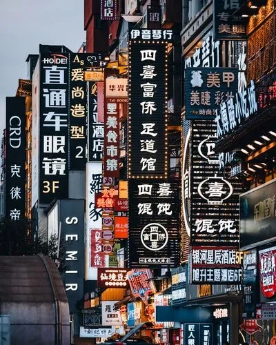 ���������Ӧ�����ѡ��