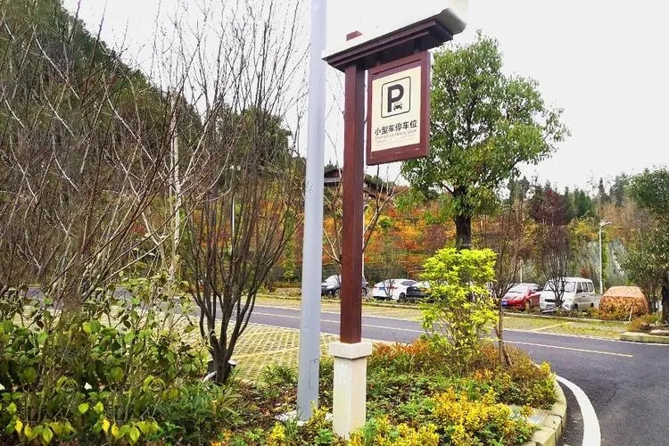 �Ĵ���湫˾��ʶ������Ƶ�ɫ��Ӧ�����Ӧ�ã�