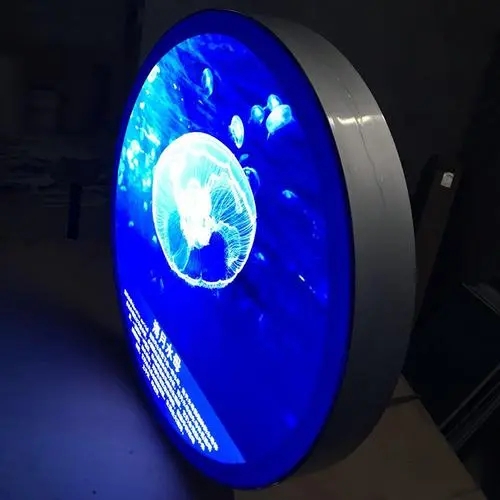 �������������Щ�ص㣿